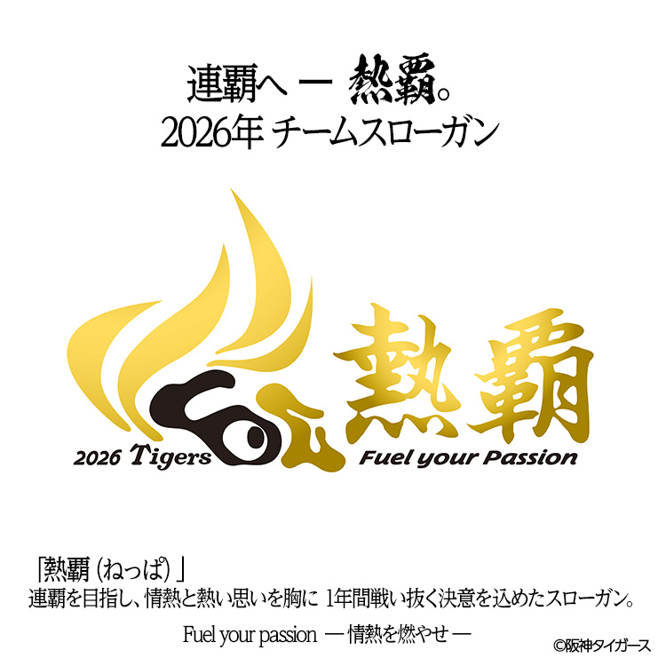 阪神タイガース 阪神 スローガン 2026 熱覇 パーカー フーディーの説明7