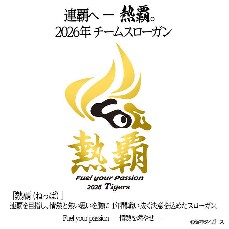 阪神タイガース 2026 熱覇 ビールジョッキ ビアジョッキの説明4