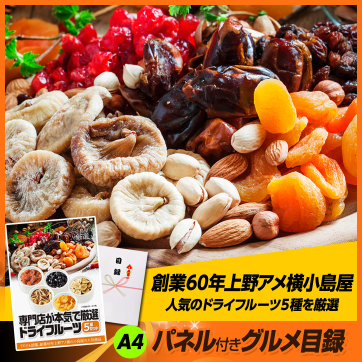 パネル付き目録 上野  小島屋 専門店が本気で厳選 ドライフルーツ5種セット （A16）の説明2