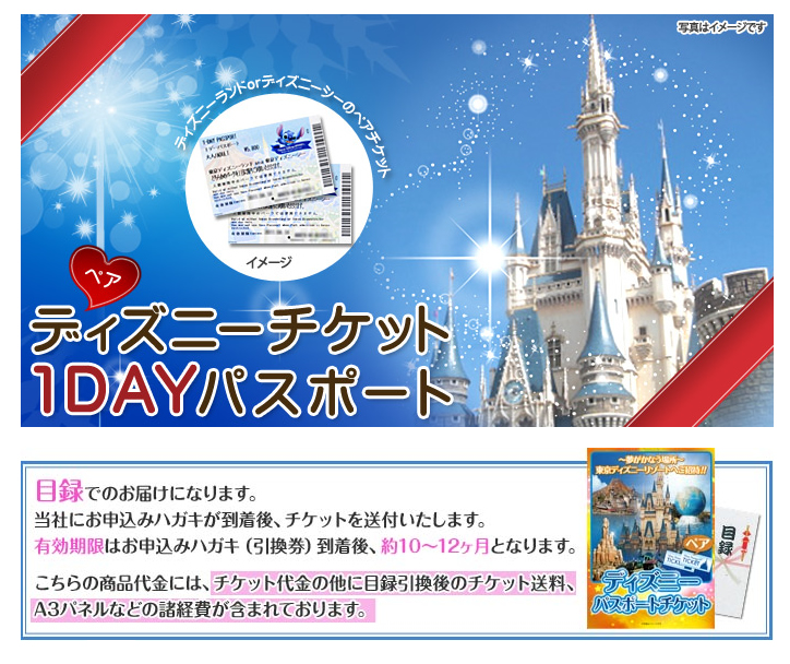 特大a3パネル付き目録 ディズニーペアチケット 1dayパスポート 東京ディズニーリゾートの通販