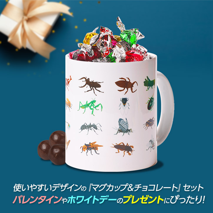 チョコレート＆マグカップセット EG-0004 昆虫図鑑の説明4