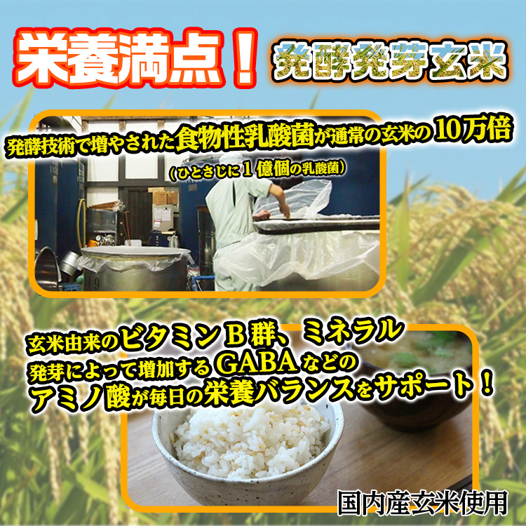 発酵発芽玄米 300g 乳酸菌 ディエイアイコーポレーションの説明2