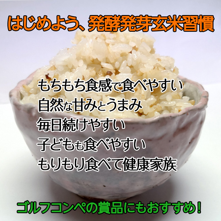 発酵発芽玄米 300g 乳酸菌 ディエイアイコーポレーションの説明4