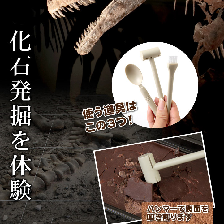 恐竜の化石を発掘するチョコレート ジュラシックショコラ ディグアップの説明3