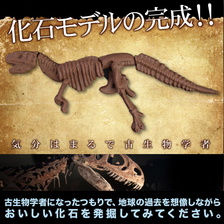 恐竜の化石を発掘するチョコレート ジュラシックショコラ パズルの説明4