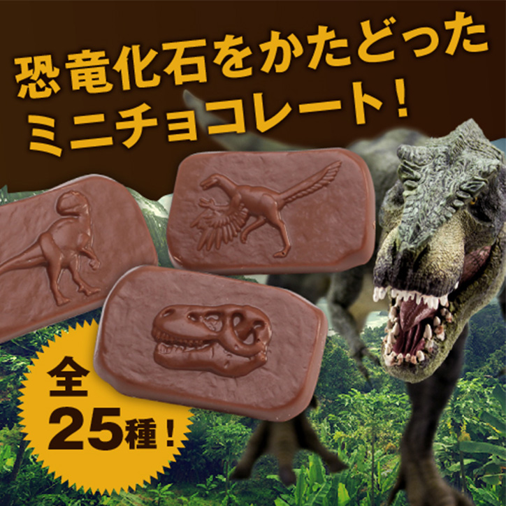 恐竜チョコレート ジュラシックショコラ 25の説明4