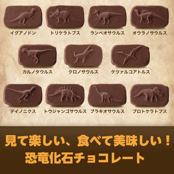 恐竜チョコレート ジュラシックショコラ 25の説明6