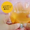 ジープラス 繰り返し使えるエコカイロ ECO HOT (エコホット）3