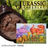 恐竜の化石を発掘するチョコレート ジュラシックショコラ パズル1