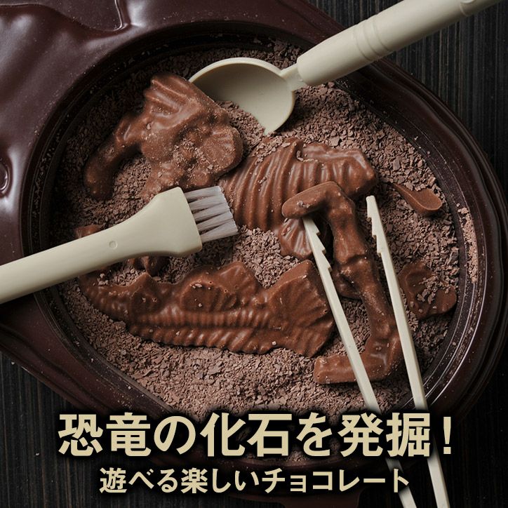 恐竜の化石を発掘するチョコレート ジュラシックショコラ パズル2