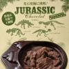 恐竜の化石を発掘するチョコレート ジュラシックショコラ パズル3