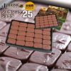 恐竜チョコレート ジュラシックショコラ 253