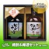 【ギフトセット】 梅酒ゴルフうめ～＆本格焼酎ピンそば 720ml 各1本 宮下酒造1