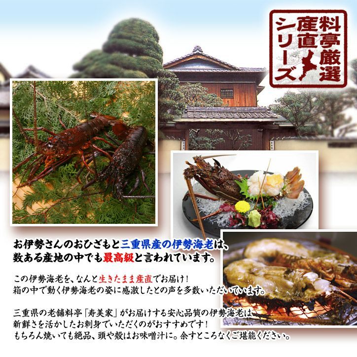 パネル付き目録  三重の料亭離宮・和久庵  伊勢海老（約1人前分） [W1]2