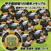 阪神タイガース #2 梅野隆太郎 甲子園球場100周年 ゴルフ マーカー（カジノマーカー カジノチップマーカー）5