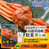 パネル付目録 最高品質青タグ付き 島根県隠岐 松葉ガニ（大型サイズ） A50 スプーングルメ2