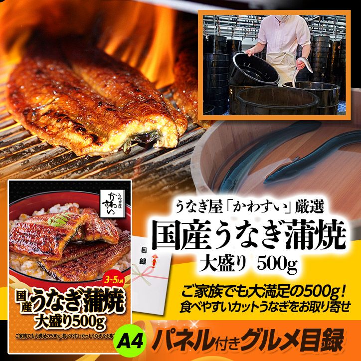 パネル付き目録 かわすい 国産うなぎ蒲焼 大盛500g （A36） スプーングルメ3