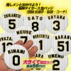 阪神タイガース #81 馬場敏史内野守備走塁コーチ 缶バッジ（背番号）3