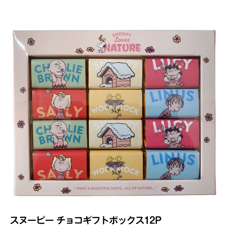 スヌーピー チョコギフトボックス12P1