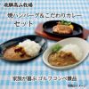 飛騨高山牧場 焼ハンバーグ＆こだわりカレーセット BHF-BER2