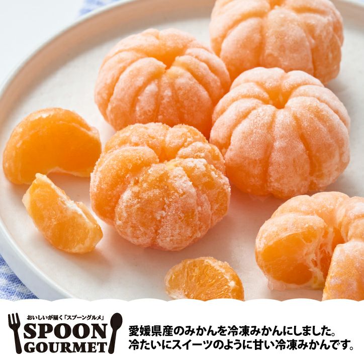 パネル付き目録 小林果園 甘みぎゅっと凍らせ蜜柑 D69 スプーングルメ2